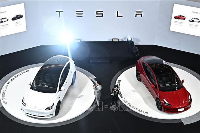 Tesla triệu hồi gần 363.000 xe điện do vấn đề với công nghệ hỗ trợ người lái - Ảnh 1.