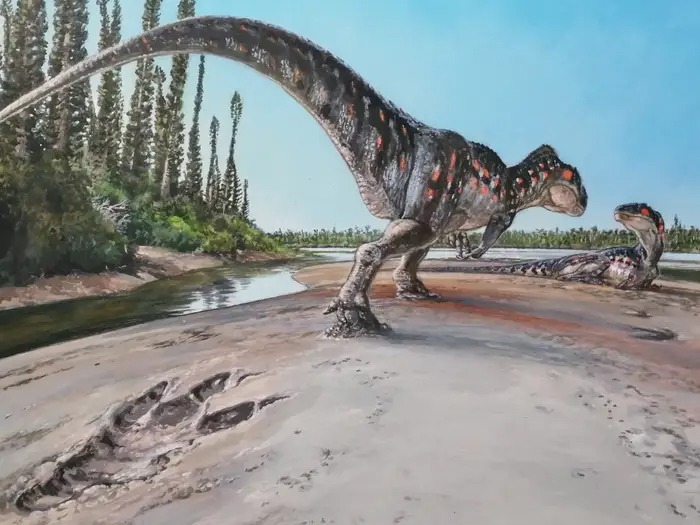Đi dạo ven biển để nhặt vỏ ốc, tình cờ phát hiện dấu chân khủng long từ 160 triệu năm trước - Ảnh 2.