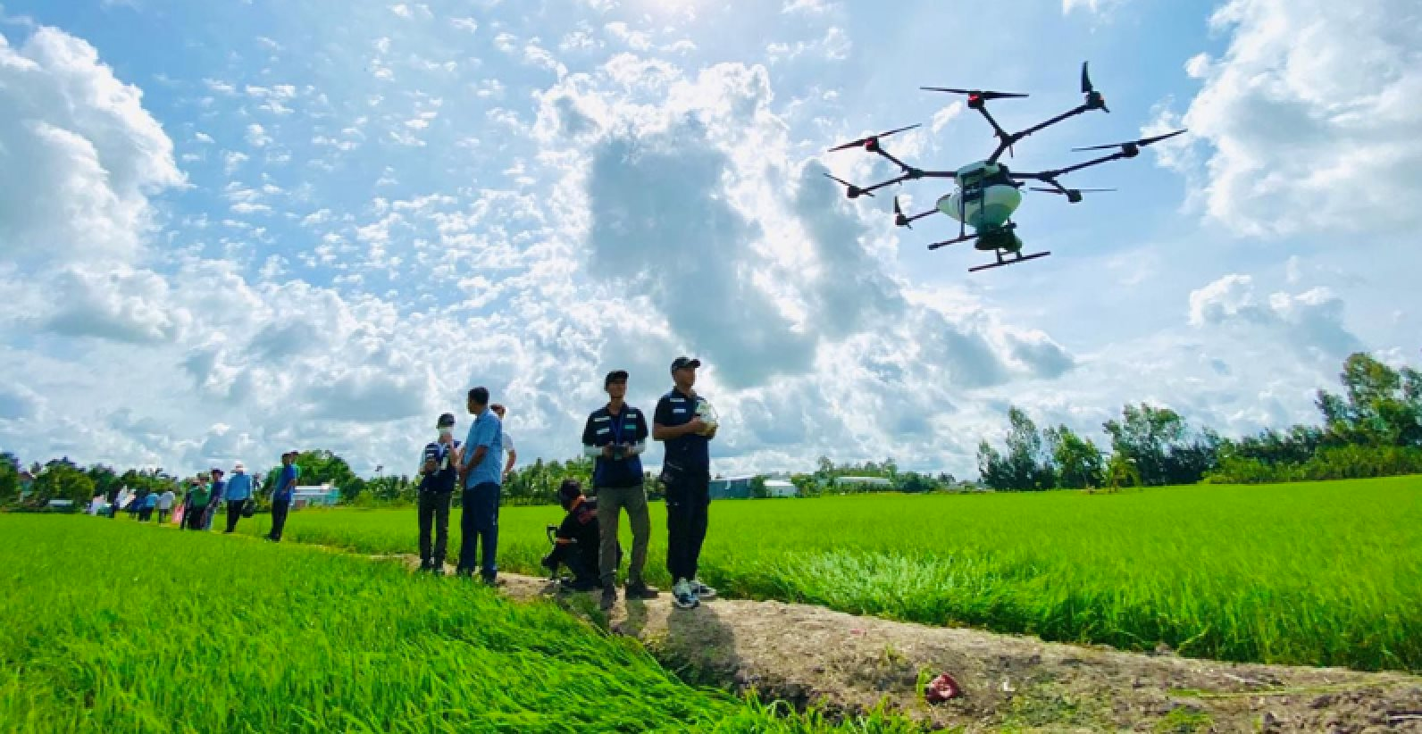 Công ty Việt dùng 3.000 máy bay không người lái phun thuốc trừ sâu cho đồng lúa, vườn sầu riêng: Chỉ 8.000-10.000 đồng/lít, tăng trưởng 100%/năm - Ảnh 1.