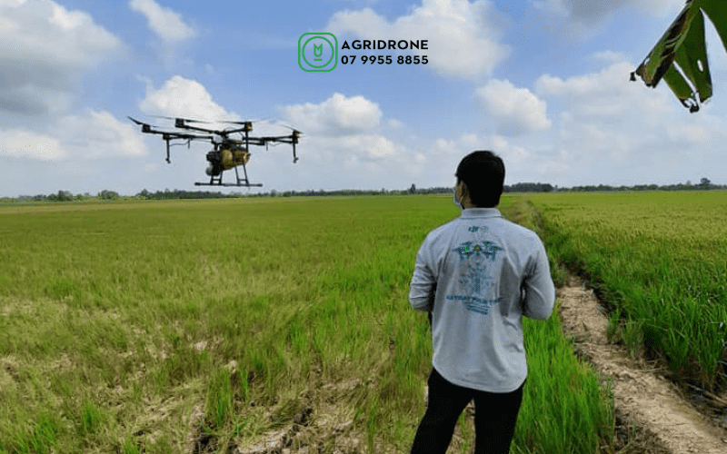 Công ty Việt dùng 3.000 máy bay không người lái phun thuốc trừ sâu cho đồng lúa, vườn sầu riêng: Chỉ 8.000-10.000 đồng/lít, tăng trưởng 100%/năm - Ảnh 3.