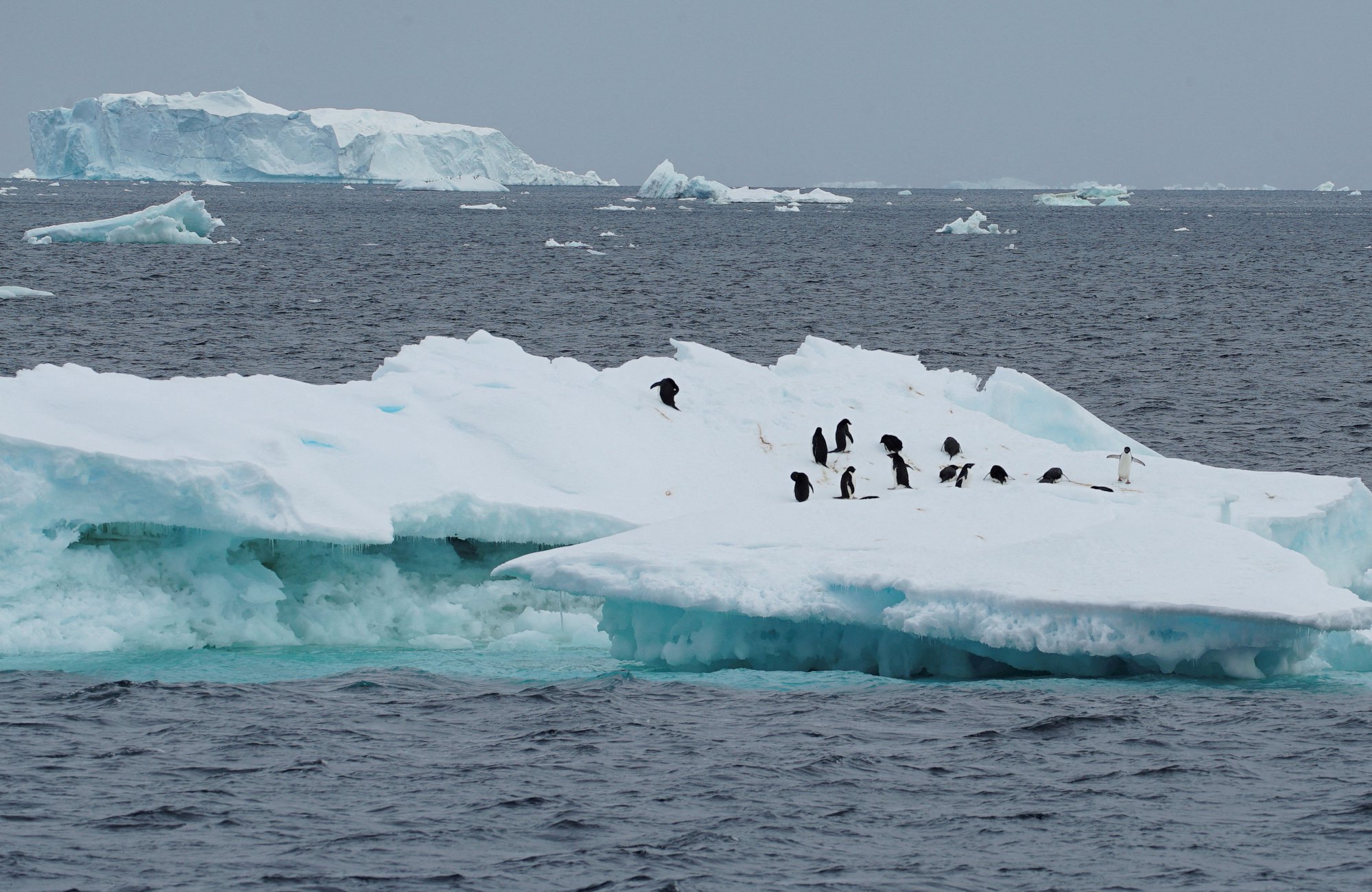 Mối đe dọa từ băng Nam Cực tan chảy nhanh - Ảnh 1.