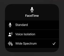 Chỉ mất vài giây để bật tính năng ẩn này trên iPhone, cuộc gọi FaceTime sẽ nghe rõ ràng hơn - Ảnh 3.