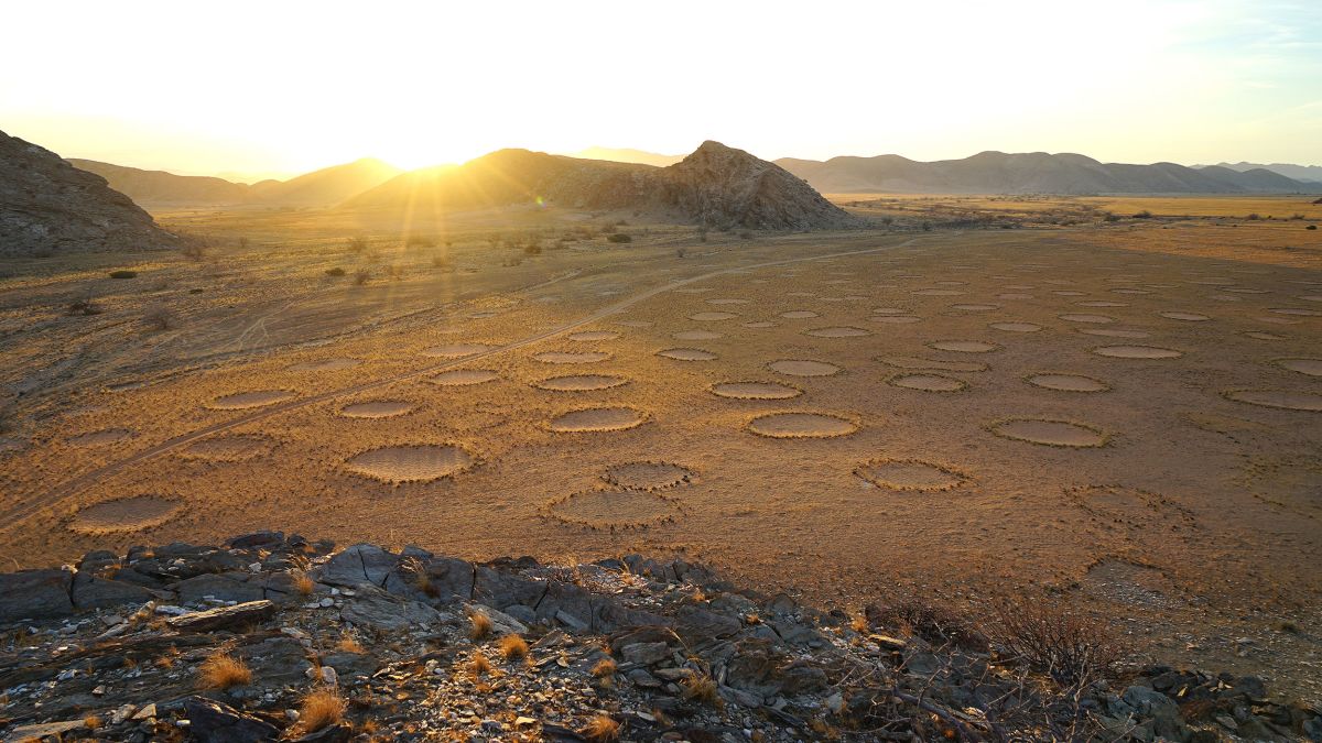 Sự thật về vòng tròn &quot;trên trời rơi xuống&quot; ở Namibia khiến các nhà khoa học đau đầu suốt 5 thập kỷ - Ảnh 6.