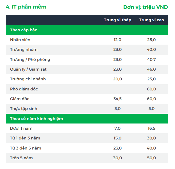 Hé lộ mức lương ngành CNTT, IT phần mềm: Có vị trí lên đến hơn 140 triệu đồng/tháng - Ảnh 1.