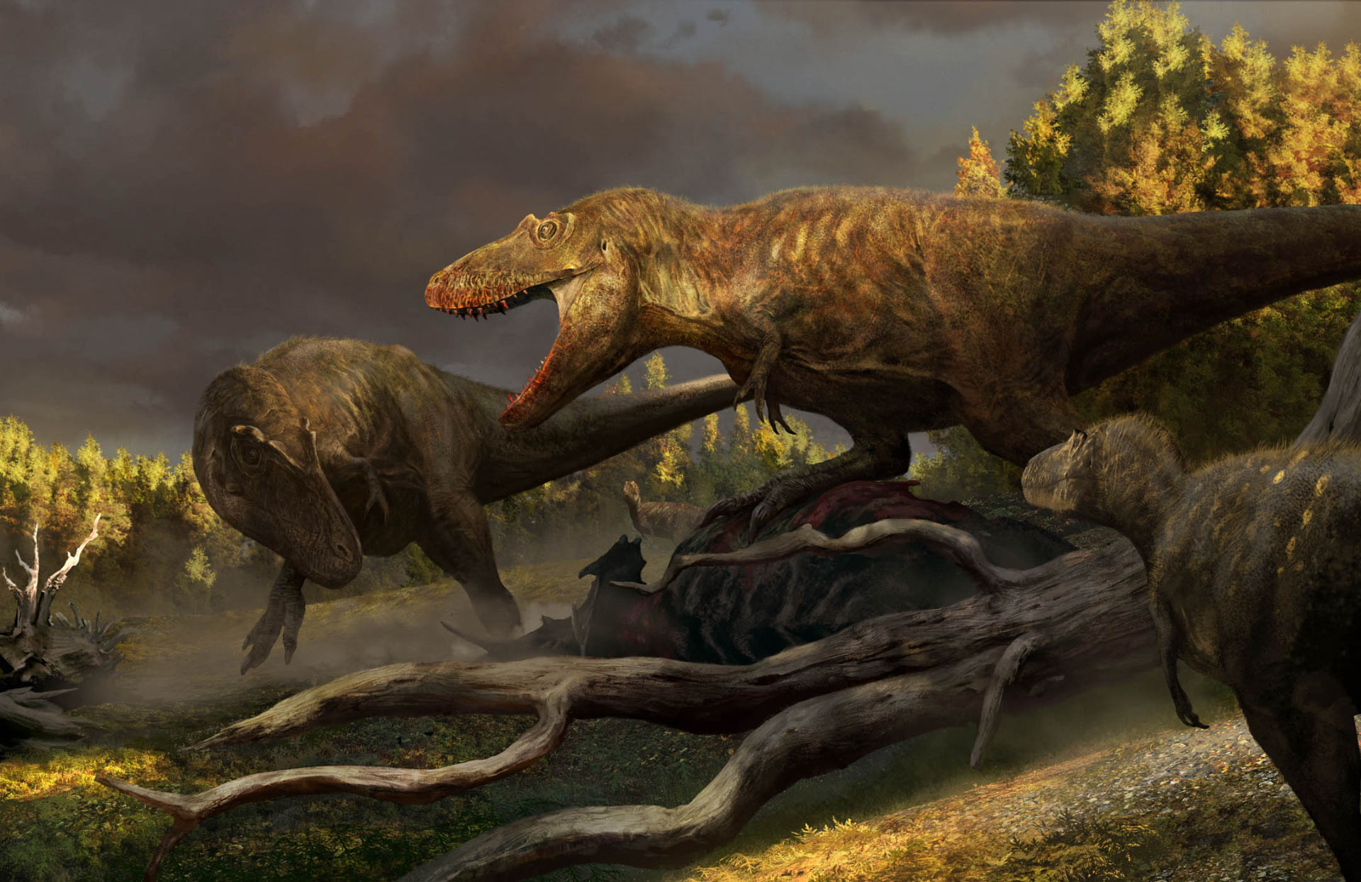 Hai chân trước có kích thước tí hon của Tyrannosaurus rex có tác dụng gì? - Ảnh 3.