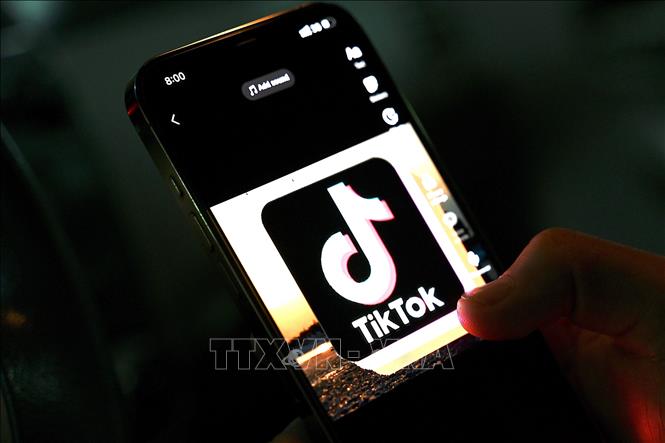 TikTok thử nghiệm chatbot AI Tako tại Philippines - Ảnh 1.