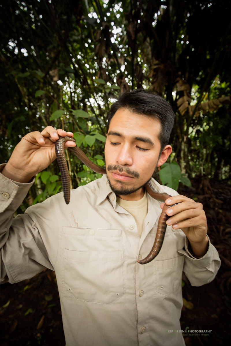 Bí ẩn về loài giun Ecuador, dù là giun đất nhưng lại to bằng con rắn - Ảnh 3.