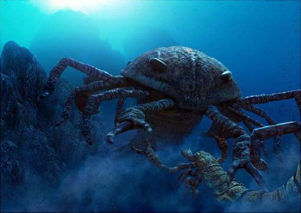 Loài bọ cạp biển dài 2 mét đã tuyệt chủng bất ngờ được phát hiện ở Úc - Ảnh 2.