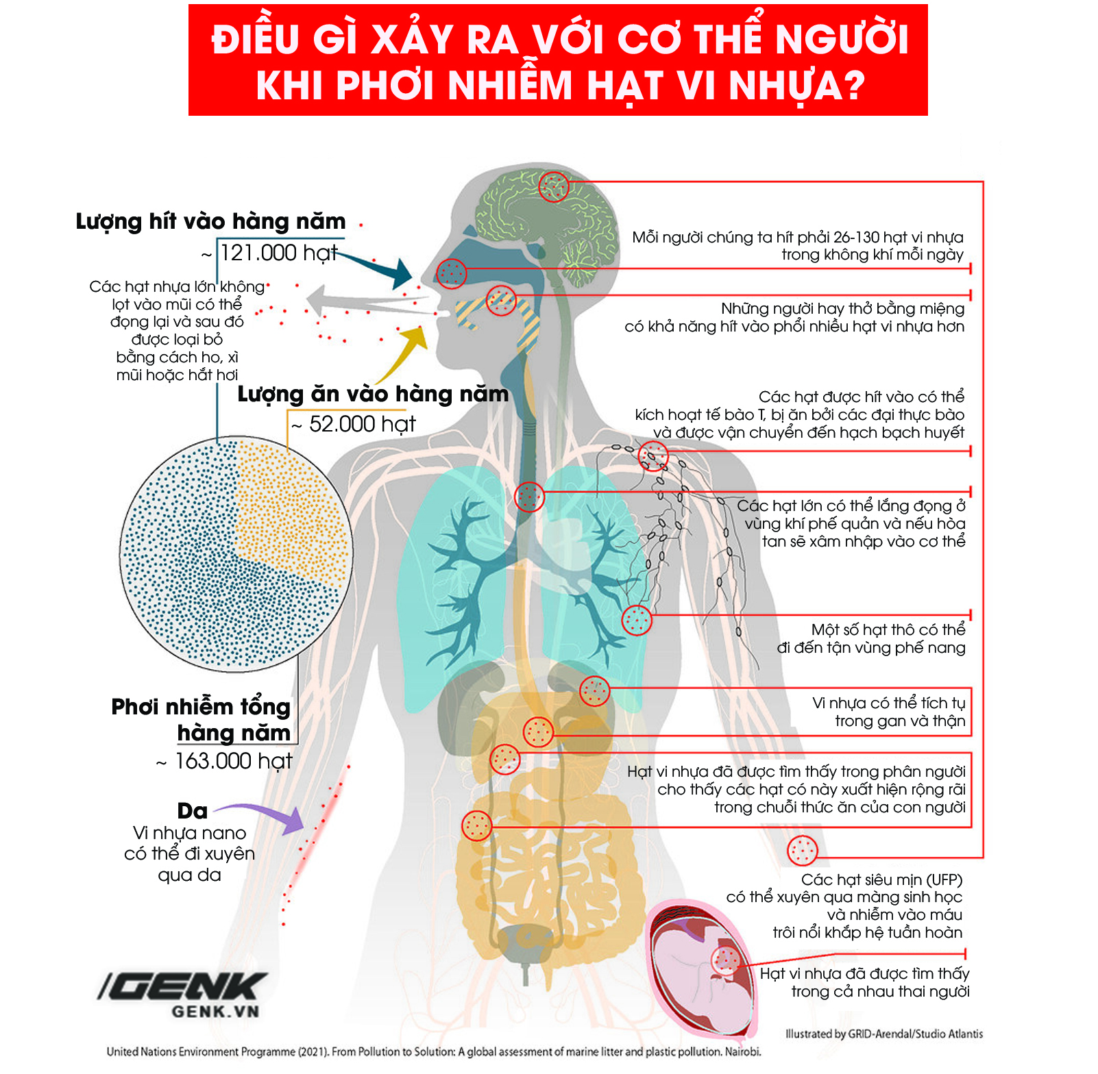 Nghiên cứu tìm thấy hạt vi nhựa trong gạo: Bạn nên hay không nên vo gạo ...