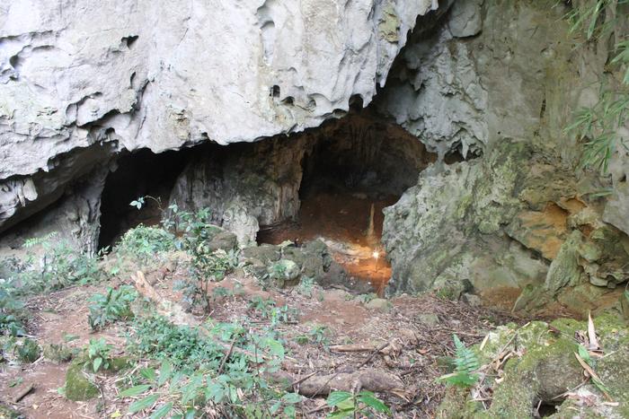 Tam Pa Ling - nơi phát hiện hóa thạch người 86.000 tuổi thay đổi lịch sử: Ở đâu? Có gì đặc biệt? - Ảnh 3.