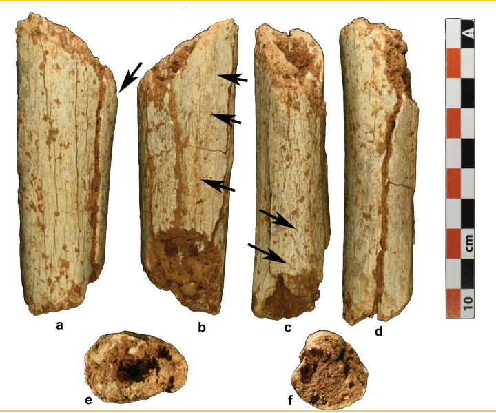 Tam Pa Ling - nơi phát hiện hóa thạch người 86.000 tuổi thay đổi lịch sử: Ở đâu? Có gì đặc biệt? - Ảnh 2.