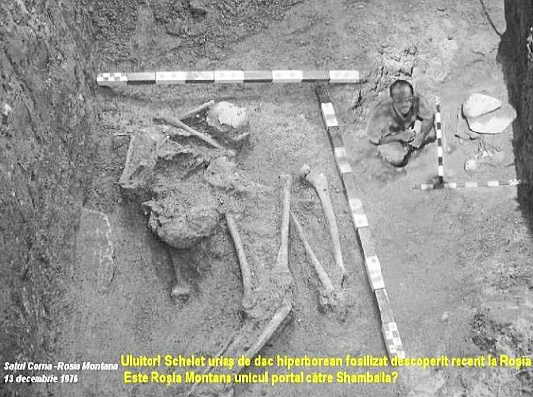 Bí ẩn về bộ xương người khổng lồ dài 10 mét được khai quật vào năm 1976 - Ảnh 1.
