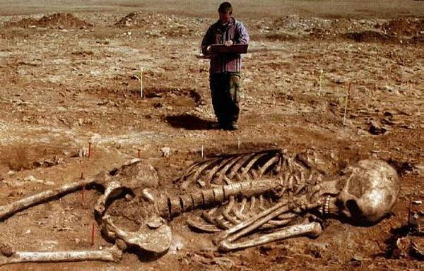Bí ẩn về bộ xương người khổng lồ dài 10 mét được khai quật vào năm 1976 - Ảnh 7.