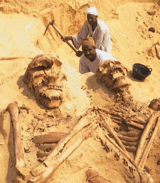 Bí ẩn về bộ xương người khổng lồ dài 10 mét được khai quật vào năm 1976 - Ảnh 9.