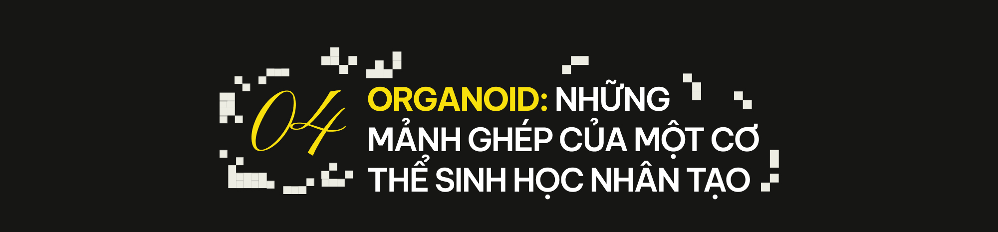 Khi các nhà khoa học đóng vai Chúa Trời: Họ đã tạo ra những sinh vật chưa từng tồn tại trên Trái Đất- Ảnh 13.