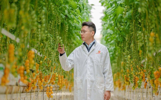 Xu hướng làm nông ‘hi-tech’ của giới trẻ Trung Quốc: Không cần đất hay nắng mưa, chỉ cần thuật toán và AI là cho cây trĩu quả - Ảnh 4.