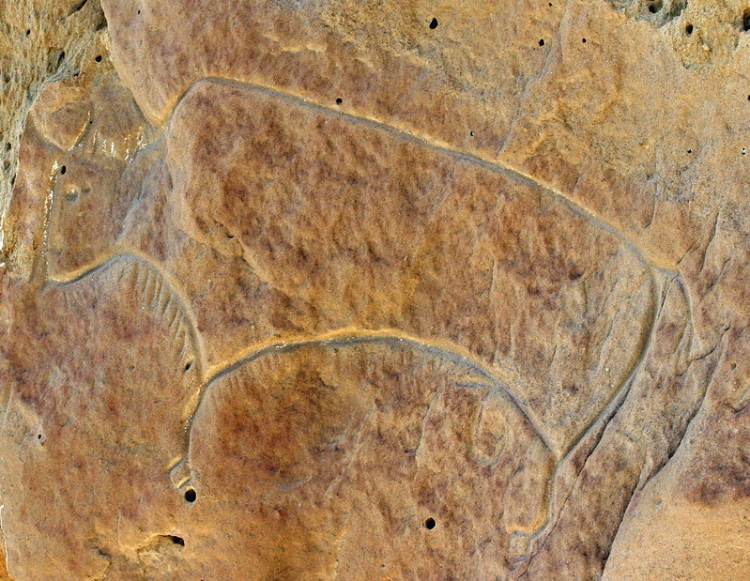 Một con bò rừng khắc trên đá sa thạch. Người da đỏ thuộc bộ lạc Plains và Great Basin là những cư dân đầu tiên sinh sống tại Wyoming, và họ đã để lại những bức tranh khắc tại White Mountain từ nhiều thế kỷ trước