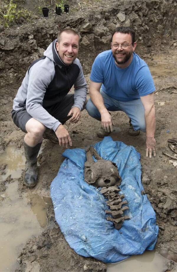 Một người đàn ông Scotland tìm thấy xương cá heo 8.000 năm tuổi khi đang đào bể bơi cho các con của mình - Ảnh 2.