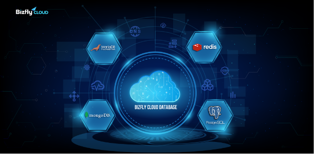 Bizfly Cloud Database - CSDL đám mây dự phòng sự cố, tiết kiệm 90% thời gian vận hành - Ảnh 3.