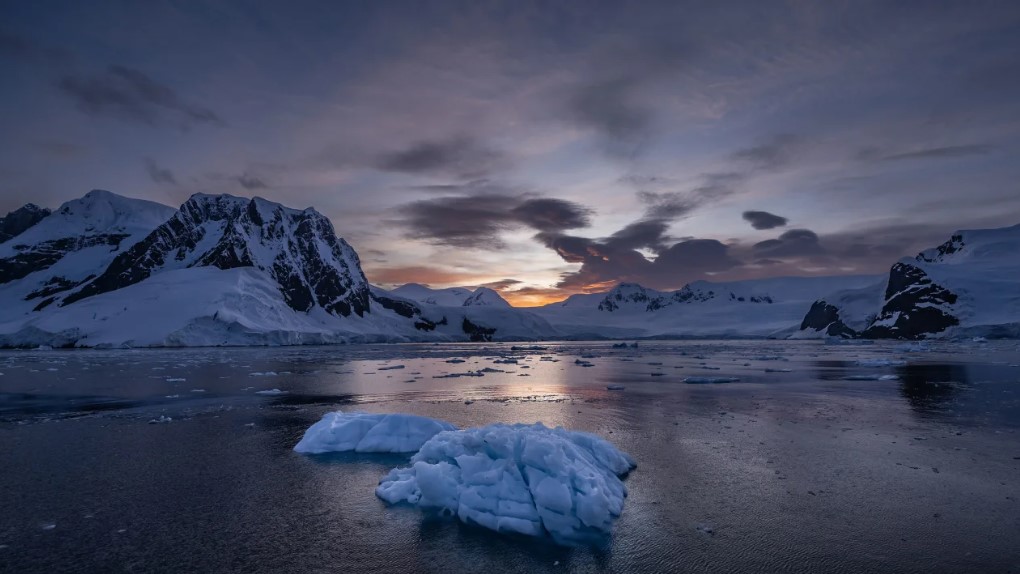 Nam Cực mất lượng băng gần bằng diện tích Argentina: Báo động hiểm họa hàng triệu năm có một - Ảnh 1.