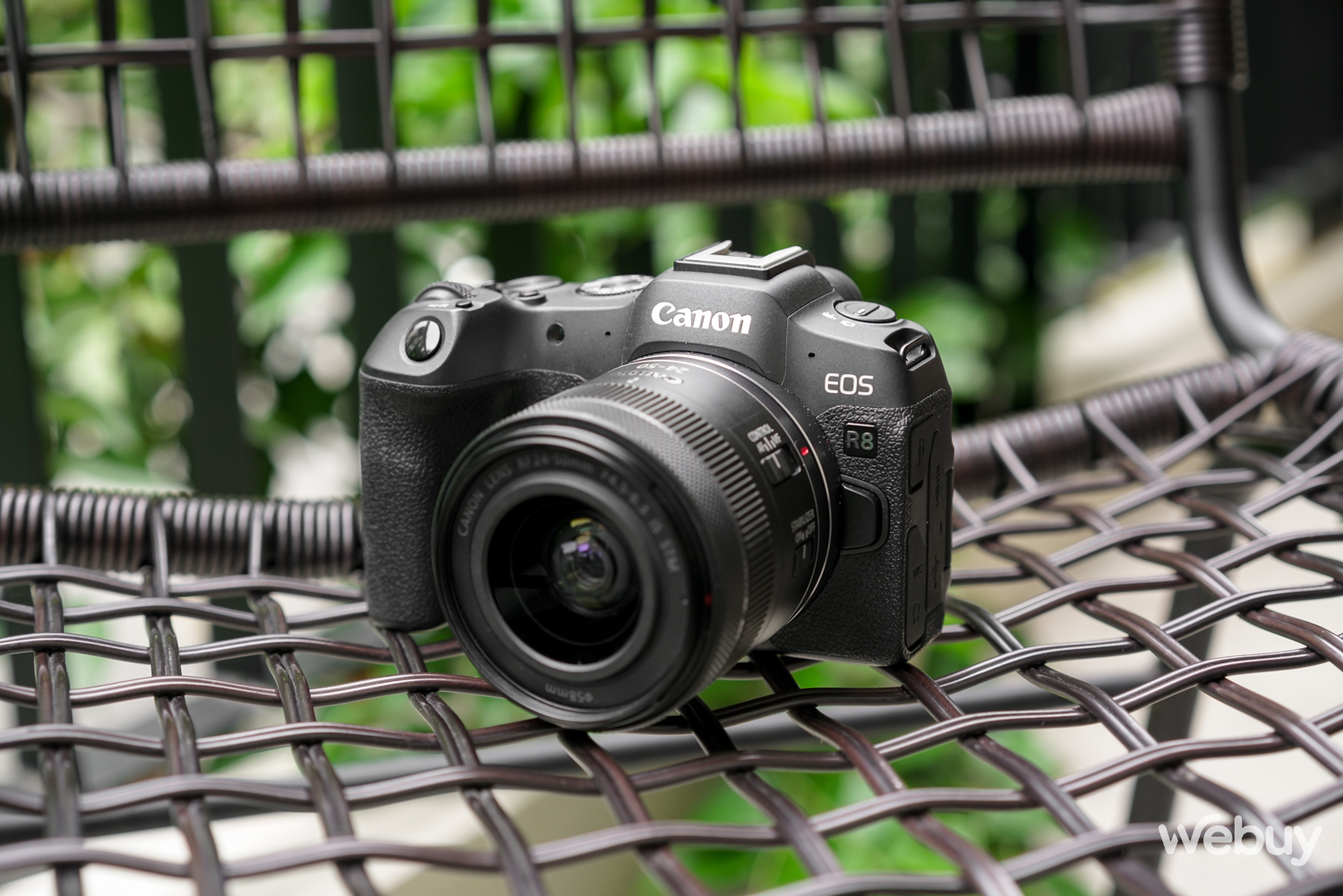 Trải nghiệm Canon EOS R8: Dòng máy Full-frame đáng nâng cấp tiếp theo - Ảnh 1.