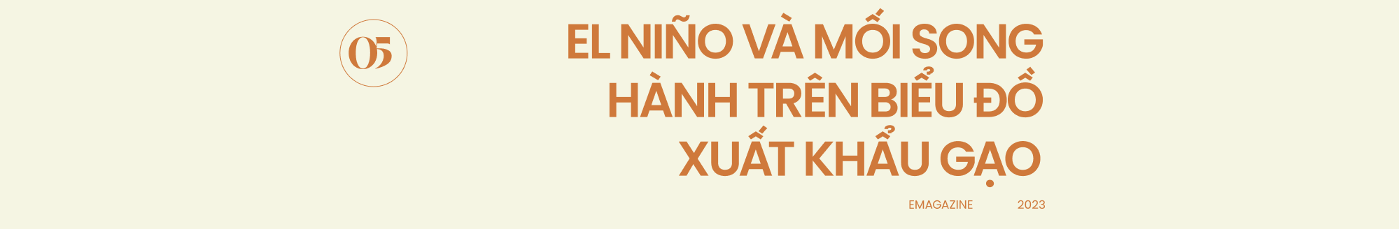 &quot;El Niño in your area&quot;: Điều gì sắp xảy đến với Việt Nam trong năm 2023-2024? - Ảnh 22.