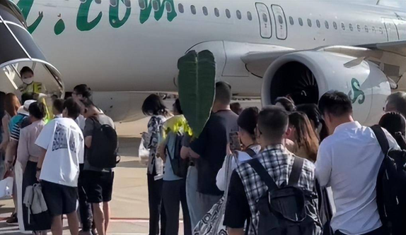 Bị mỉa mai vì ôm chiếc lá lên máy bay, chàng trai khiến cả phi trường câm nín sau khi lộ "lai lịch" của nó - Ảnh 3.