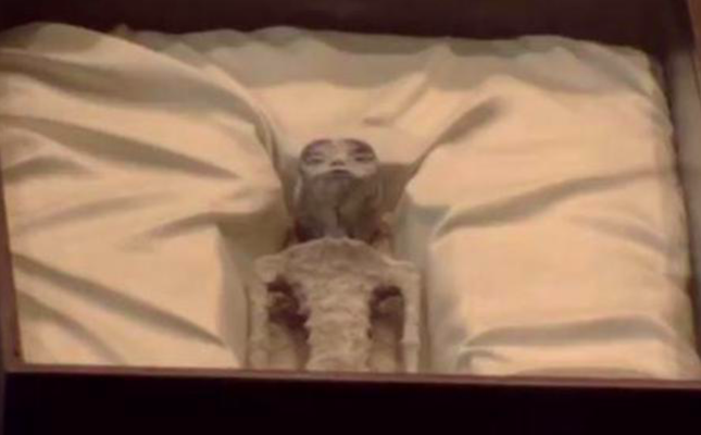 Hoá thạch 1.000 năm tuổi của ‘người ngoài hành tinh’ được đưa ra Quốc hội Mexico - Ảnh 1.