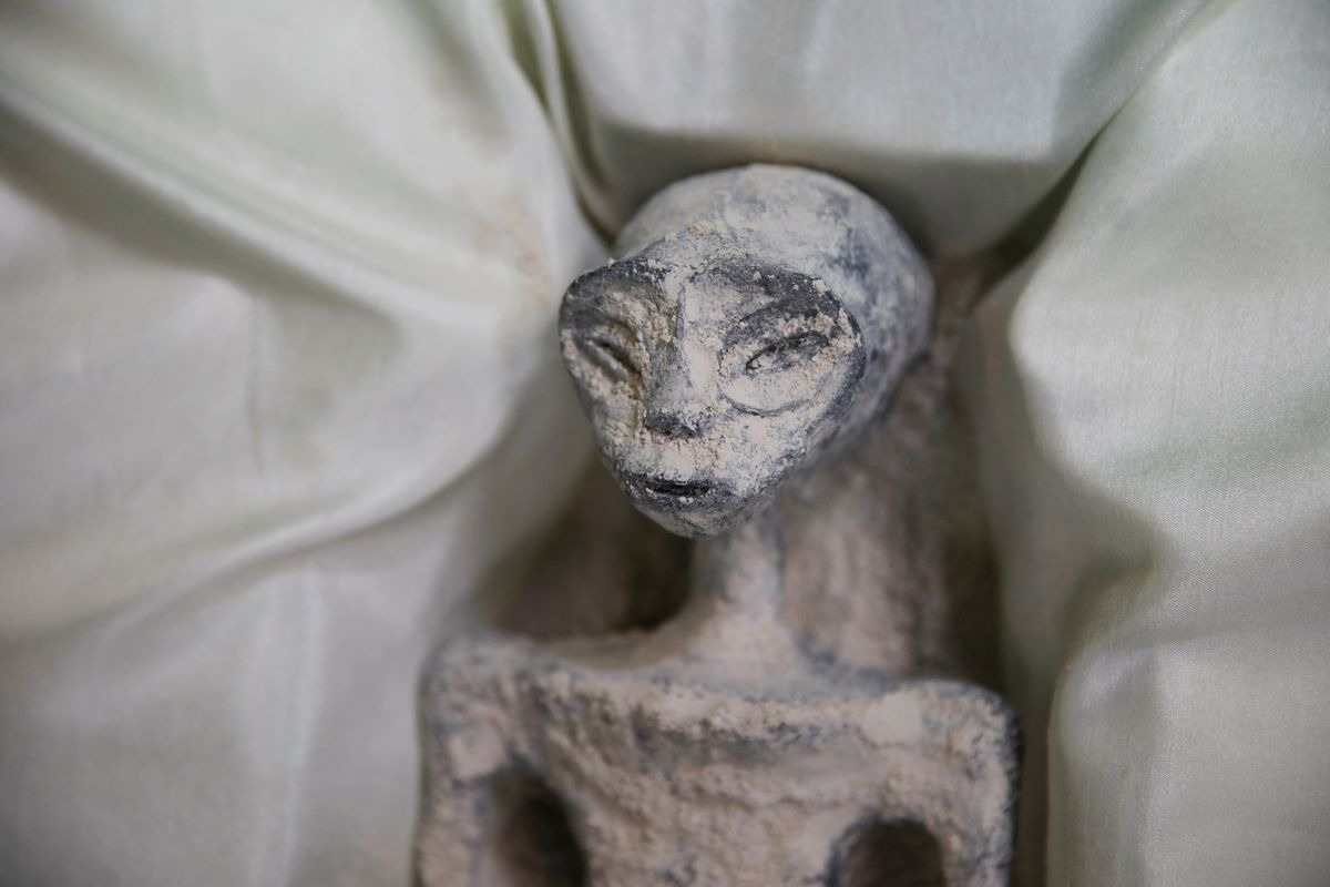 Thực hư về mẫu vật “người ngoài hành tinh” ở Mexico - Ảnh 5.
