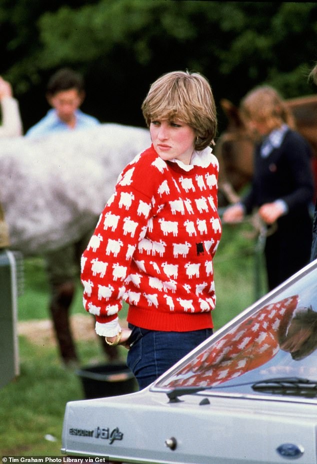 Có gì đặc biệt ở chiếc áo len màu đỏ của cố Vương phi Diana được bán giá hơn 27 tỷ VNĐ? - Ảnh 2.
