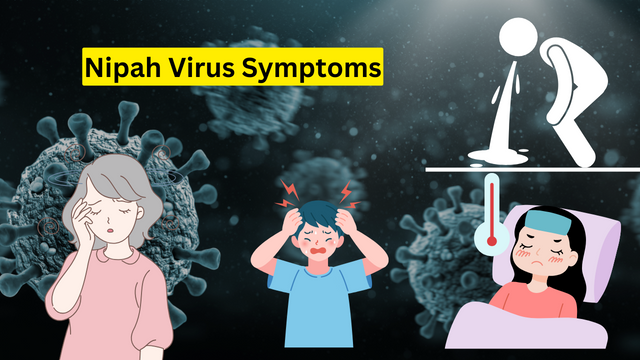 Virus Nipah bùng phát: Tỷ lệ tử vong cao gấp 20 lần COVID-19, WHO cảnh báo có thể gây ra đại dịch tiếp theo - Ảnh 3.