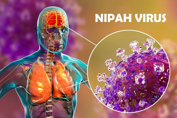 Virus Nipah bùng phát: Tỷ lệ tử vong cao gấp 20 lần COVID-19, WHO cảnh báo có thể gây ra đại dịch tiếp theo - Ảnh 4.