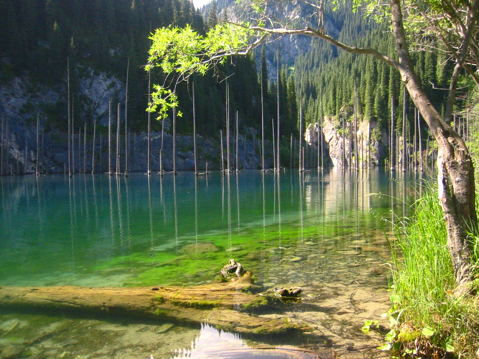 Hồ Chết: Hồ nước với tên gọi đáng sợ nhưng lại mang vẻ đẹp siêu thực khiến bạn không tin vào mắt mình - Ảnh 1.
