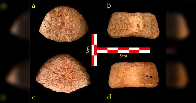 Phát hiện điểm lạ trên hài cốt 5.000 năm tuổi, chuyên gia sốc nặng với vóc dáng người xưa - Ảnh 2.