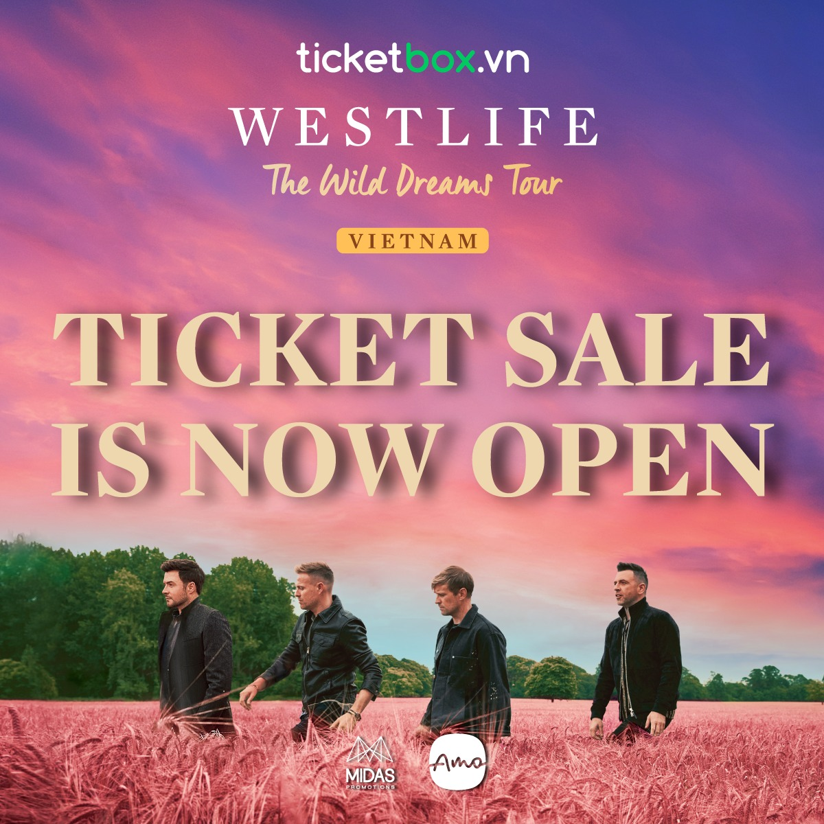 Mở bán vé concert Westlife tại Việt Nam: Web liên tục gặp lỗi nhưng vẫn sold-out toàn bộ khu vực khán đài - Ảnh 1.