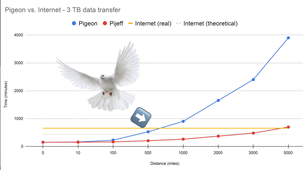 Chim bồ câu truyền dữ liệu nhanh hơn cả đường truyền Internet cáp quang - Ảnh 3.