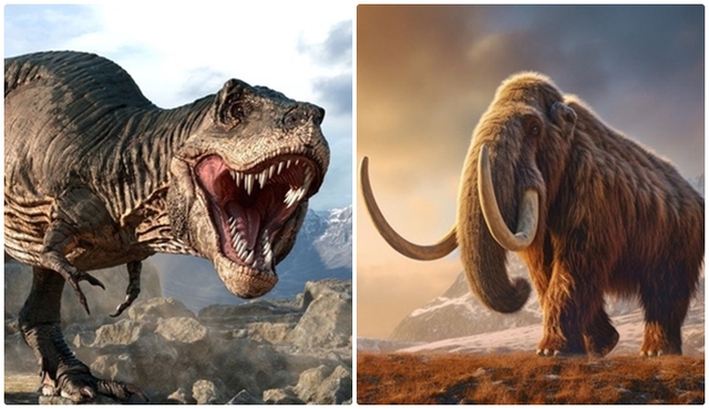 Khủng long Allosaurus có hạ sát được voi ma mút? Tác giả 1 cuốn sách về 'huyền thoại' của kỷ băng hà lên tiếng- Ảnh 4.
