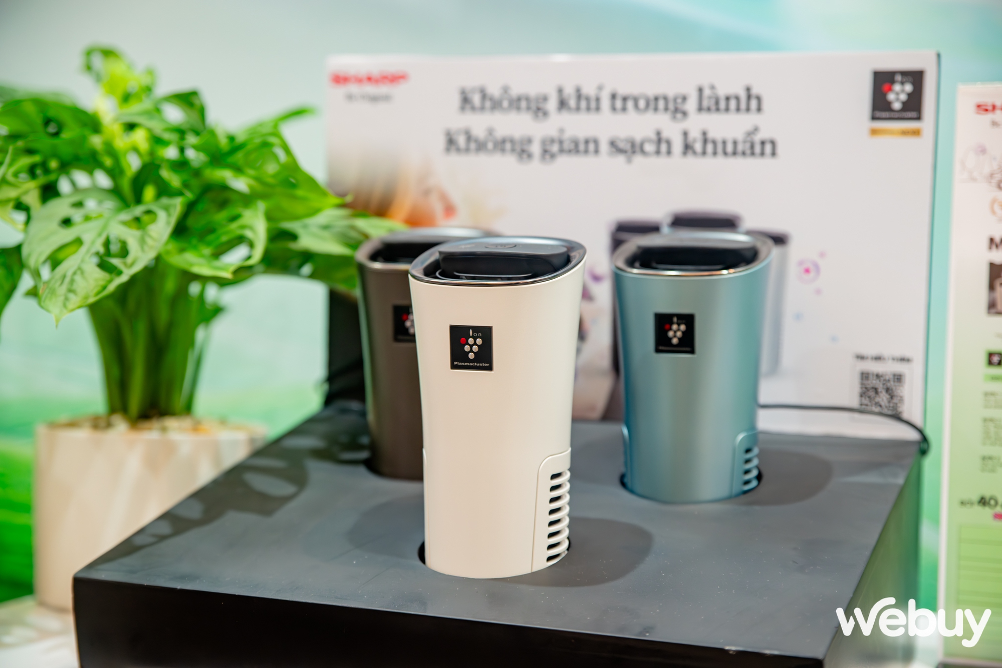 Cận cảnh máy lọc không khí SHARP Purefit mini: Kích thước gọn gàng, màu sắc nhẹ nhàng, đặc biệt công nghệ Plasmacluster ion diệt khuẩn 