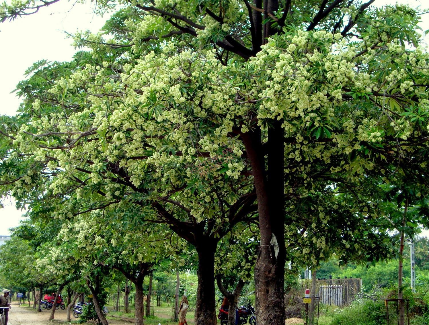 Trong não bộ bạn có những 