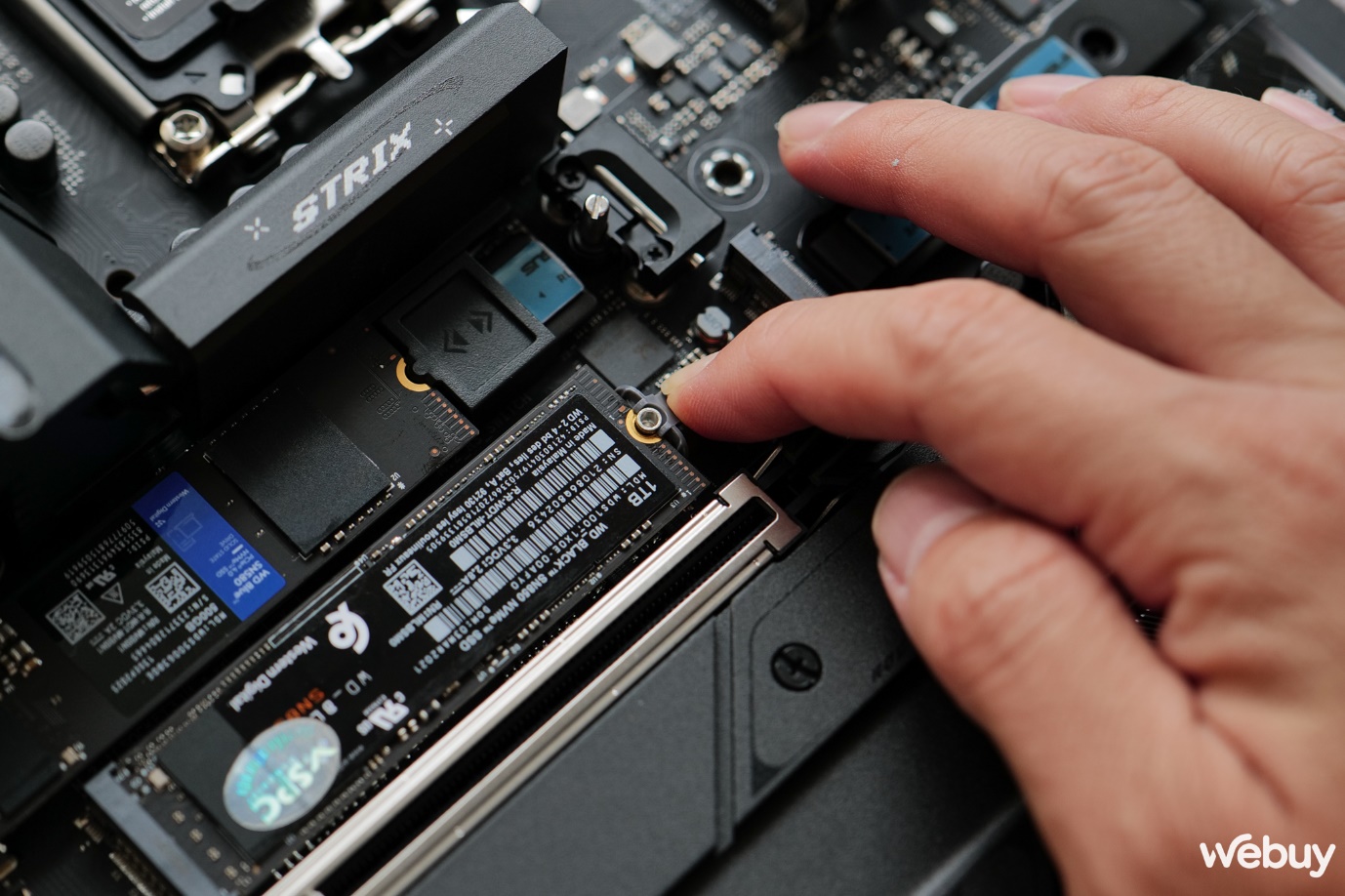 A close-up of a hand holding a small computer chip Description automatically generated