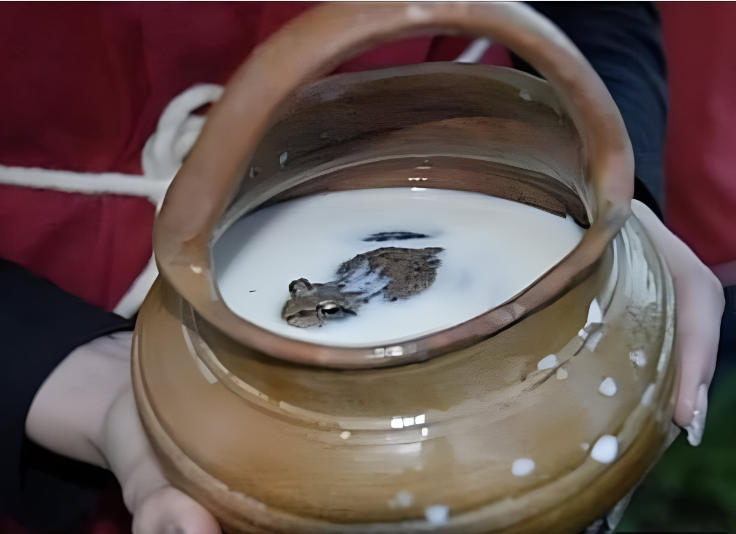Người xưa bảo quản sữa bằng cách nào khi chưa có tủ lạnh?- Ảnh 1. Người xưa bảo quản sữa bằng cách nào khi chưa có tủ lạnh?- Ảnh 1.