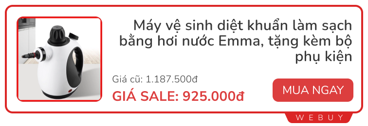 Máy làm sạch bằng hơi nước có đáng giá từng đồng như mọi người ca ngợi?- Ảnh 7.