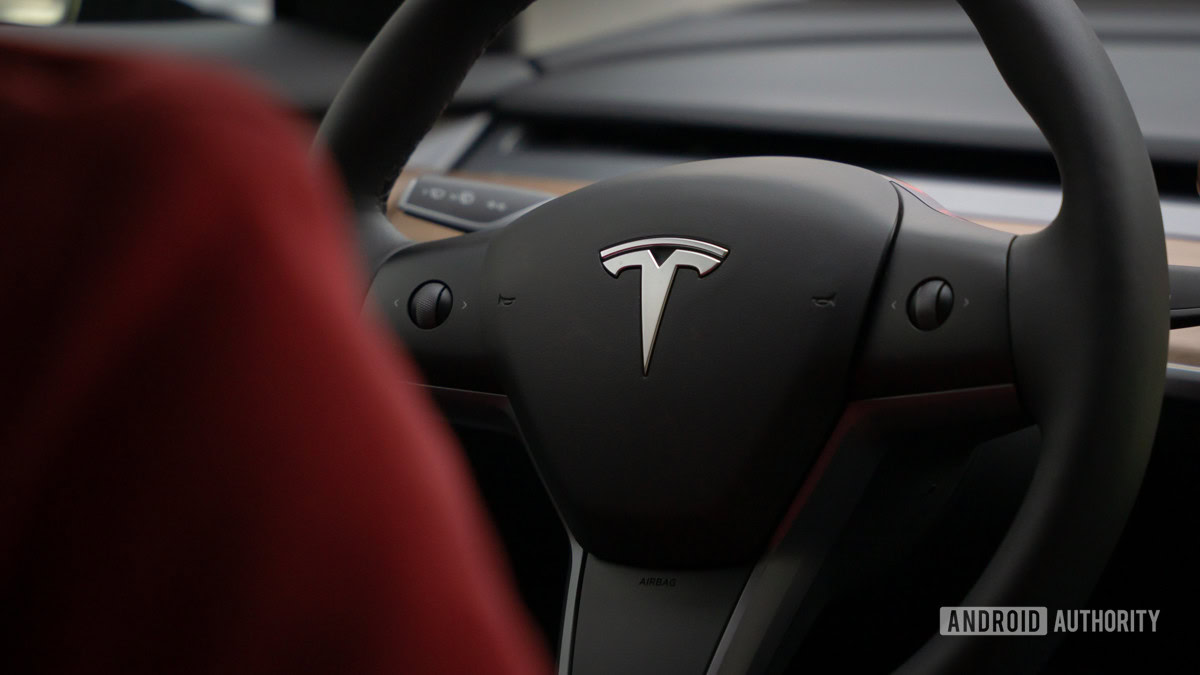 person-driving-tesla-with-logo-showing-1730890670150-17308906704711123073466-1730905194170-1730905194371125398532.jpg