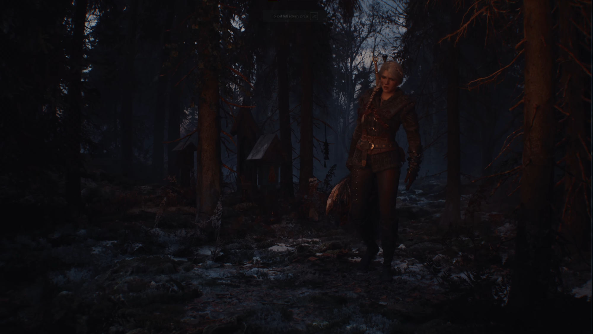 ciri back.png