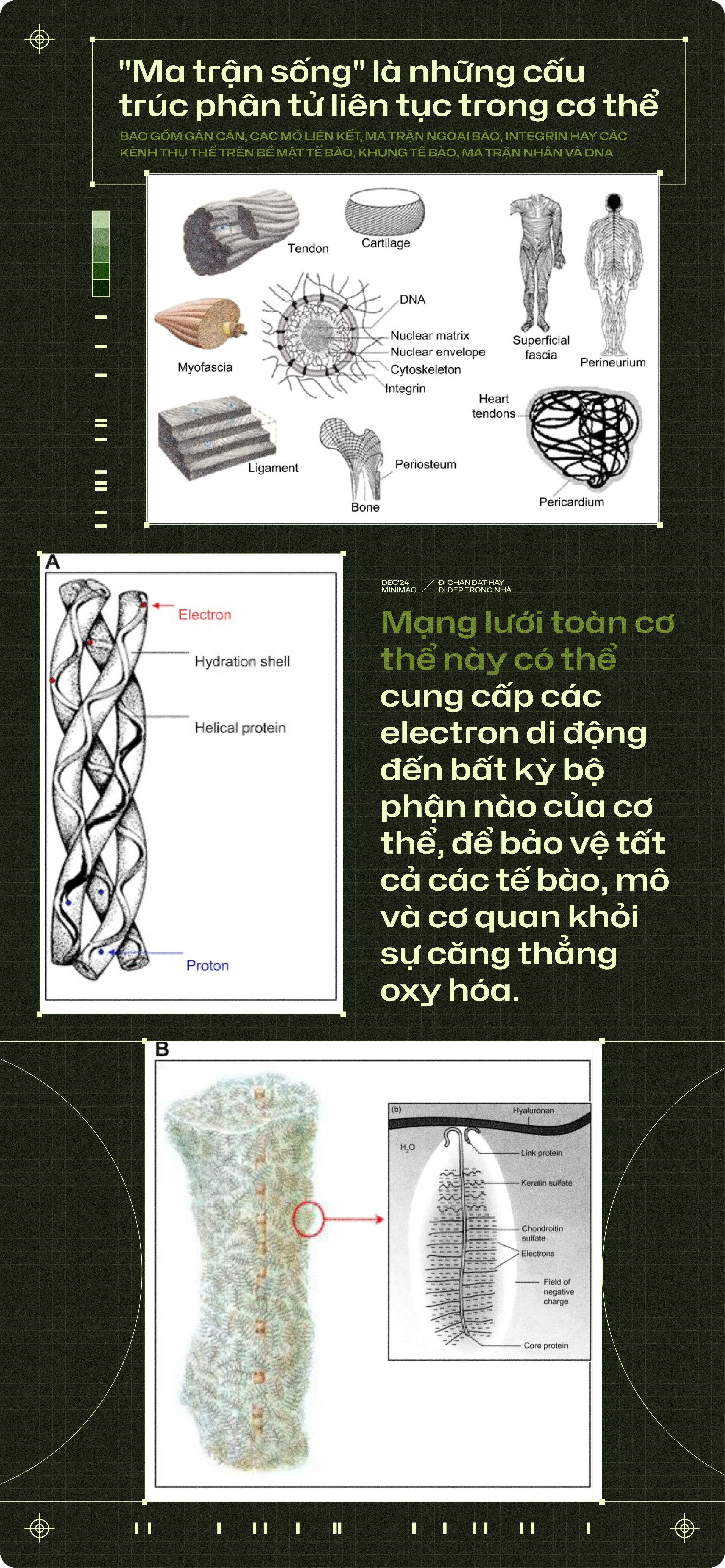 20 năm trôi qua, tôi chẳng còn thấy ai đi chân đất trong nhà, còn những đôi dép nhựa thì xâm chiếm cả thế giới- Ảnh 8.