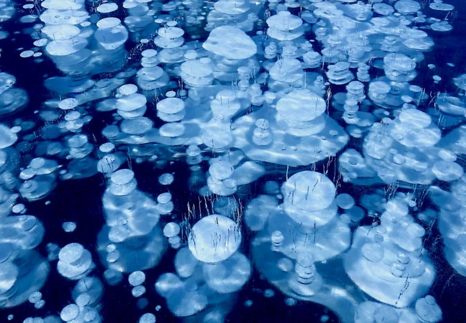 Bí ẩn về những bong bóng 'đông lạnh' tại hồ Abraham - Ảnh 1.