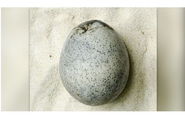 Kỳ lạ trứng thời La Mã 1.700 tuổi vẫn còn nguyên lòng đỏ, lòng trắng- Ảnh 1.