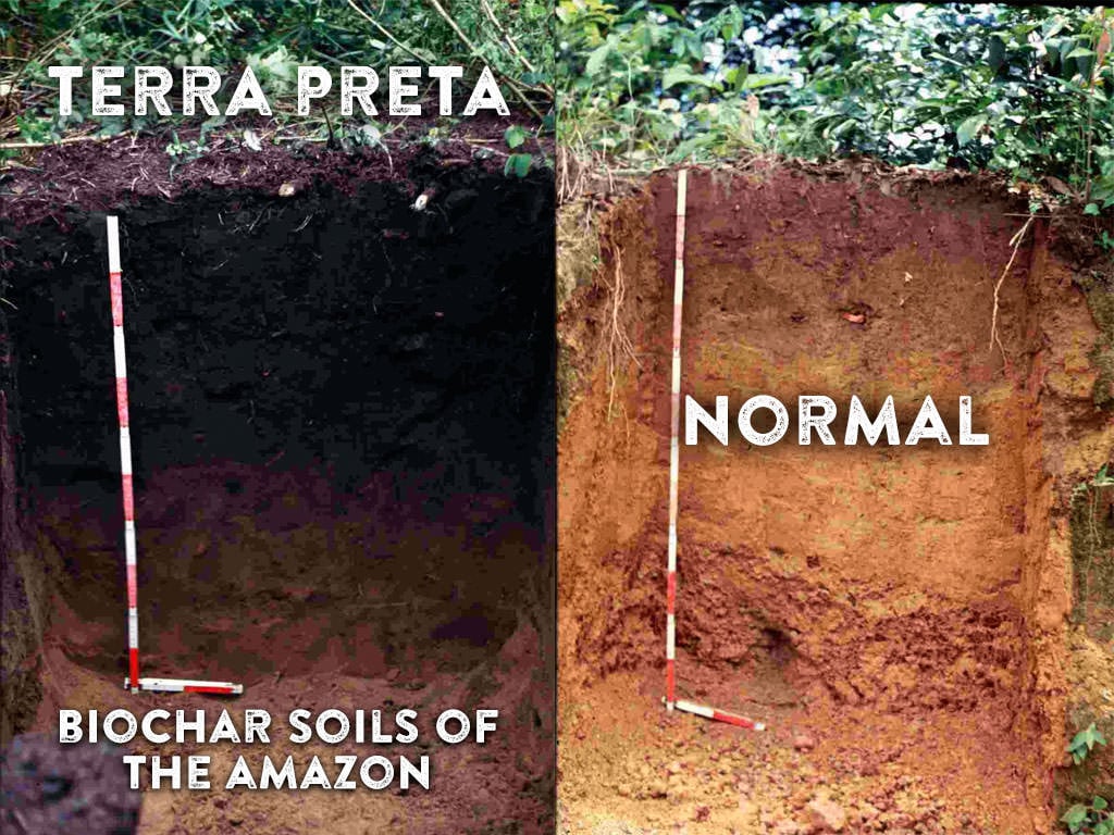 Người Amazon cổ đại đã tạo ra một loại đất có thể tự phát triển và mở rộng sau hàng nghìn năm!- Ảnh 2.
