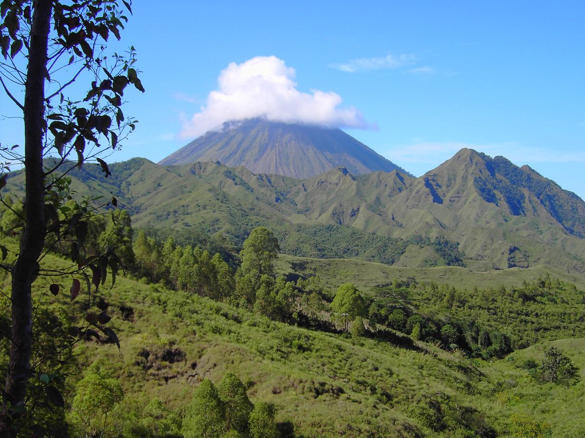 Loài người cổ đại có thể vẫn còn sống trên đảo Flores của Indonesia- Ảnh 2.