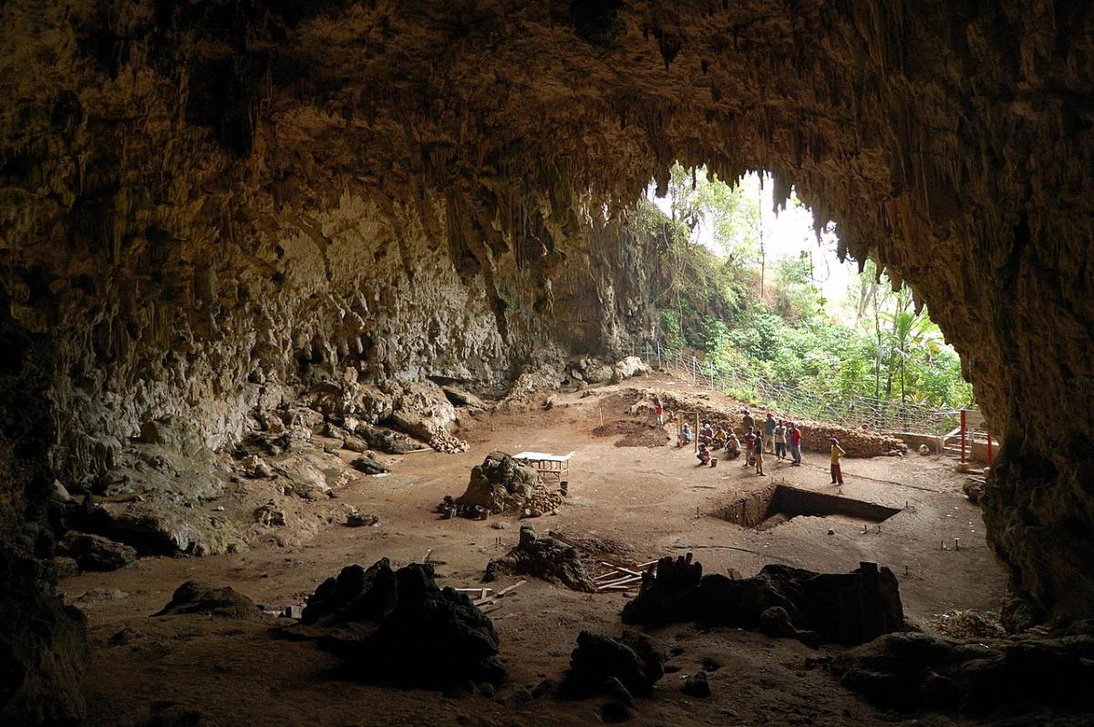 Loài người cổ đại có thể vẫn còn sống trên đảo Flores của Indonesia- Ảnh 1.